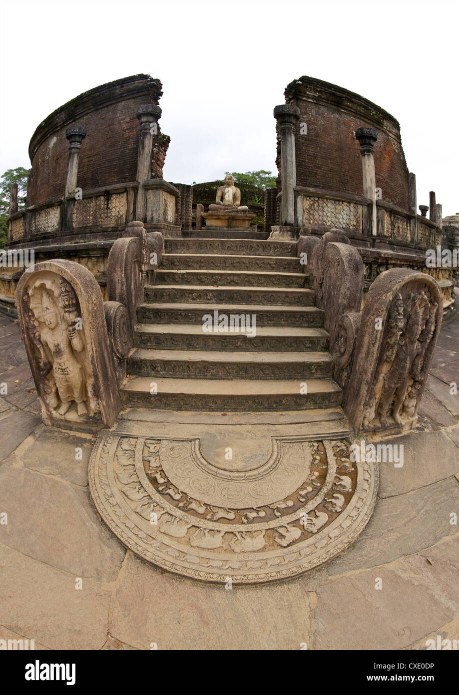 Moonstone y protector de piedras, entrada Vatagade, siglo XII, sitio del Patrimonio Mundial de la UNESCO, Polonnaruwa, Sri Lanka, Asia Foto de stock