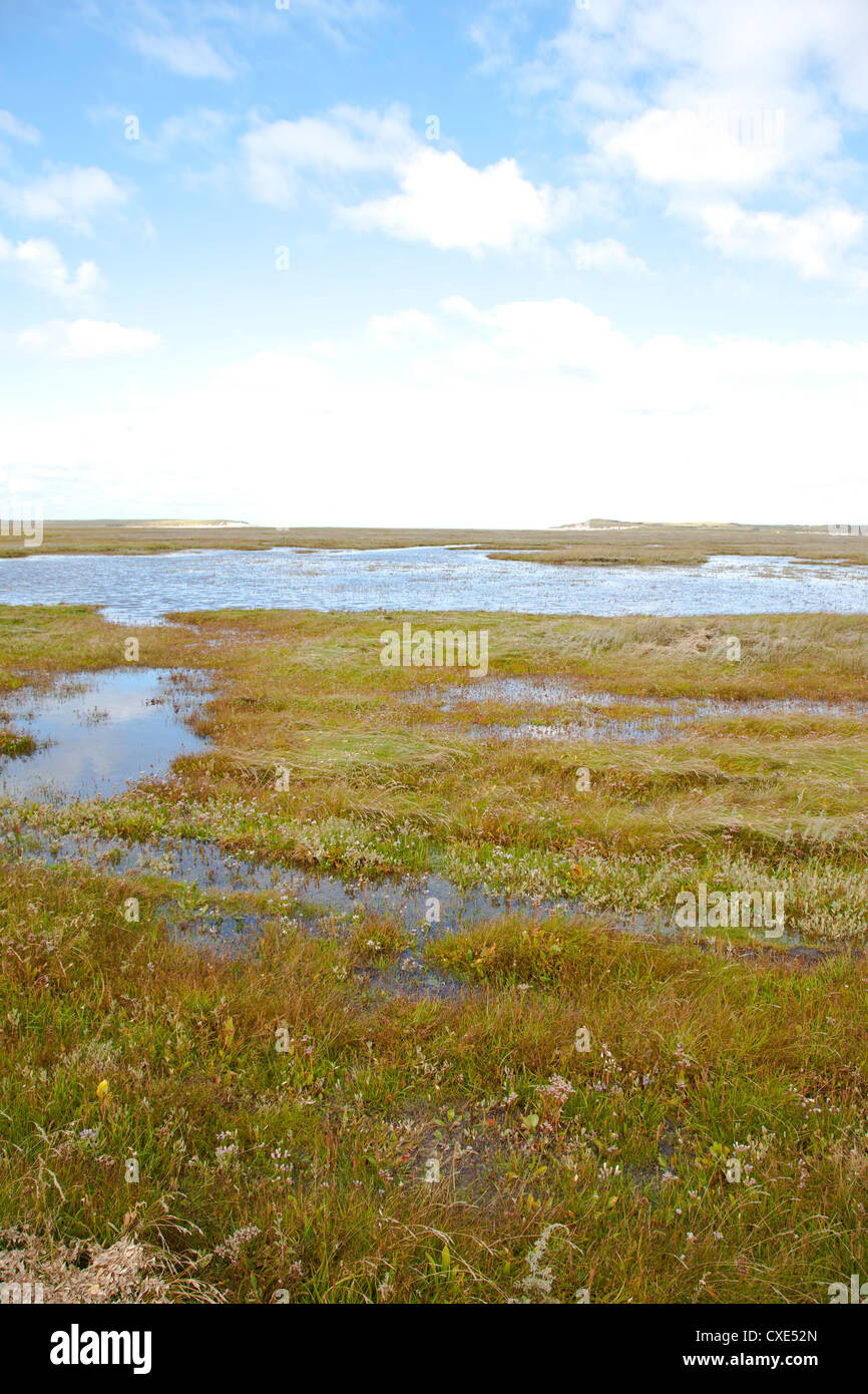 Ver en la singular naturaleza Slufter donde el agua salada se reúne la hierba en la isla de Texel, en los Países Bajos Foto de stock