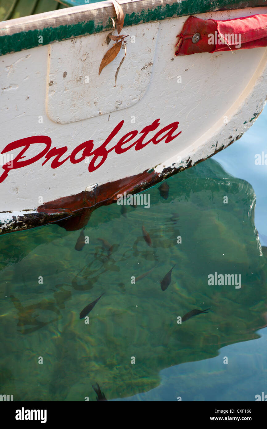 Fila anterior barco con detalle de los peces, Portofino, Italia Foto de stock