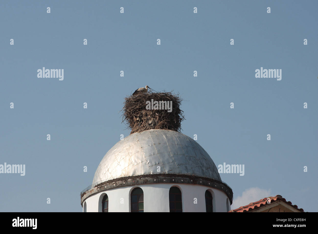 Nidos de cigüeña en la iglesia Dome en Artesiano, Grecia Foto de stock