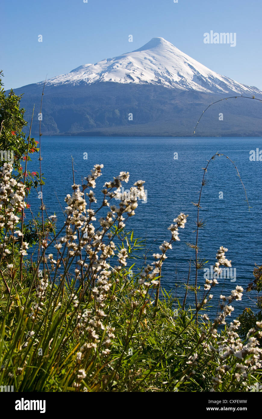 Elk198-3521v Chile, Lago Llanquihue, Volcán volcán Osorno Foto de stock