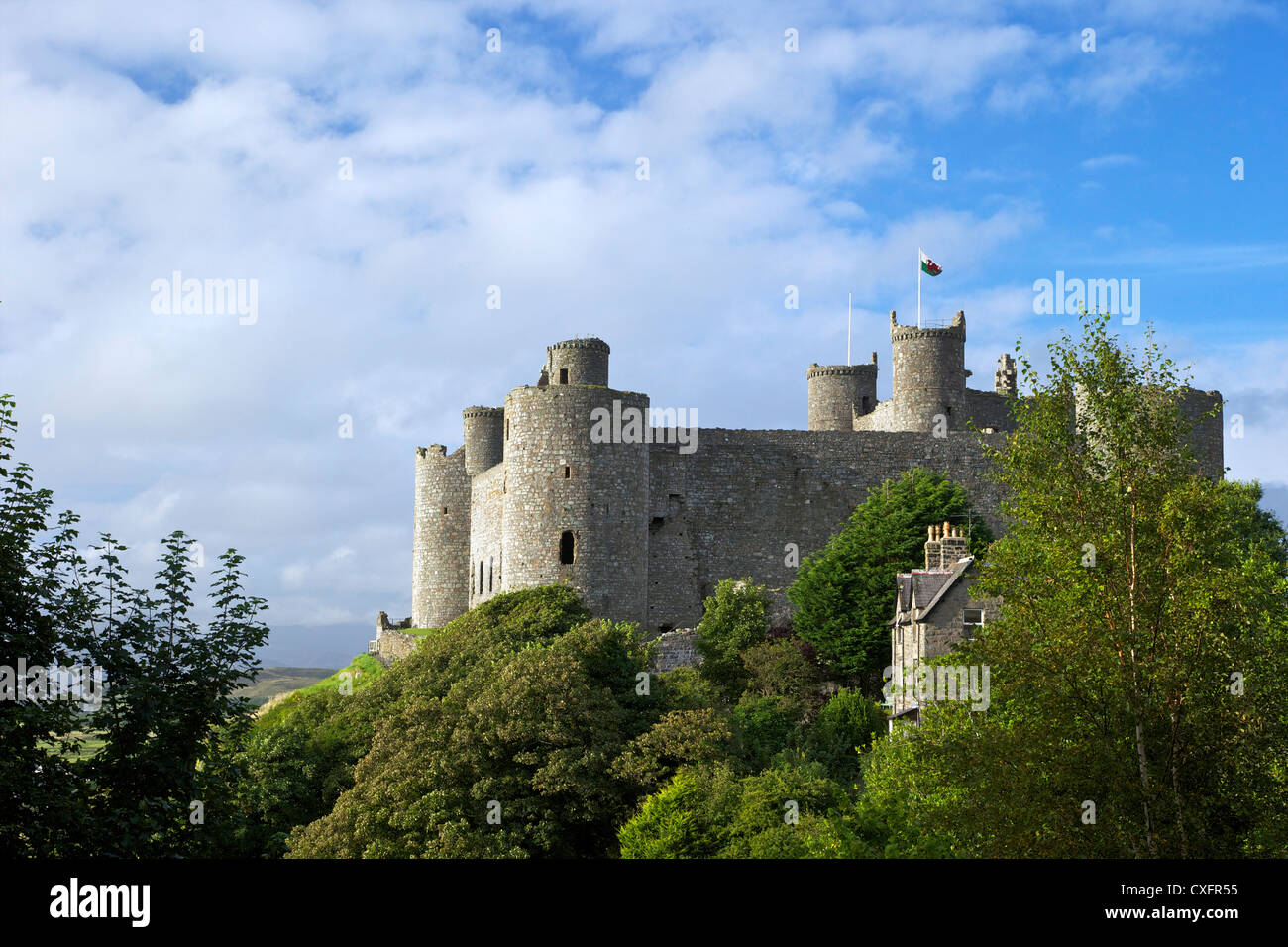 Harlech Castle, en verano el sol, Gwynedd, Gales, Reino Unido, Reino Unido, GB, Gran Bretaña, Islas Británicas, Europa Foto de stock