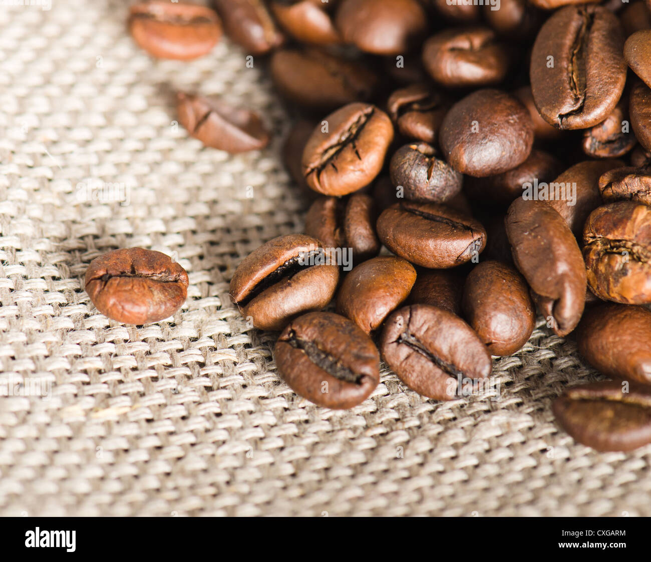 Cerca de granos de café en sacos de tela Foto de stock