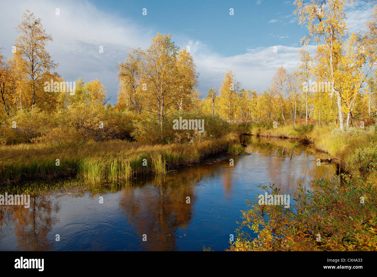 Paisaje en colores de otoño. En Laponia, Finlandia Foto de stock