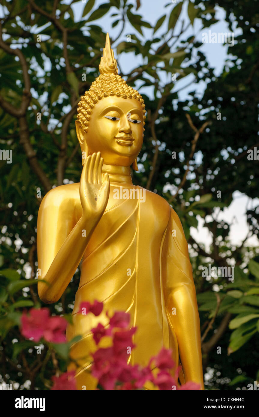 Estatua de buda de oro, Bangkok, Tailandia Foto de stock