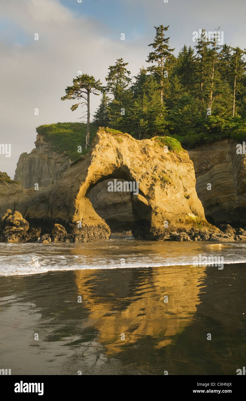 Arco Natural, la costa del Pacífico, la Reservación India Quinault, Península Olímpica, Washington Foto de stock