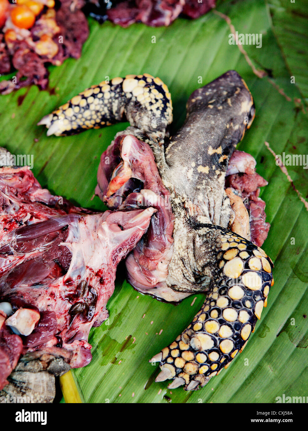 Carne de Tortuga a la venta en el mercado de Belén en Iquitos, Amazonas,  Perú Fotografía de stock - Alamy