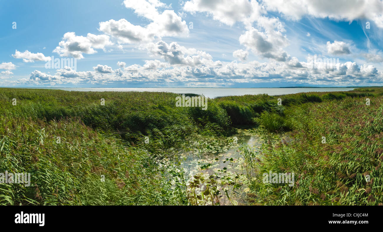 Curonian laguna. La región de Kaliningrado. Rusia Foto de stock