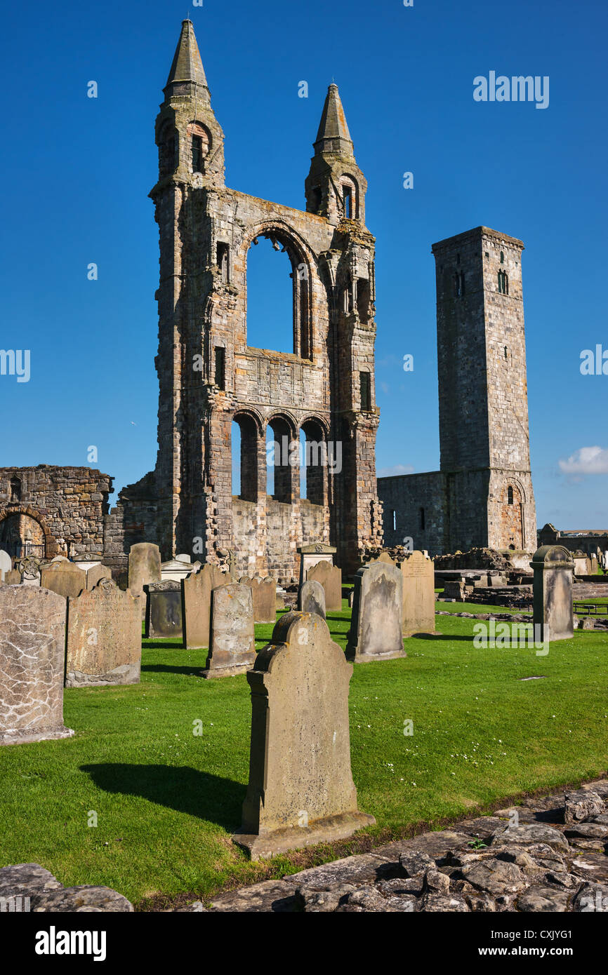 Ruinas de la Catedral de St Andrews Foto de stock