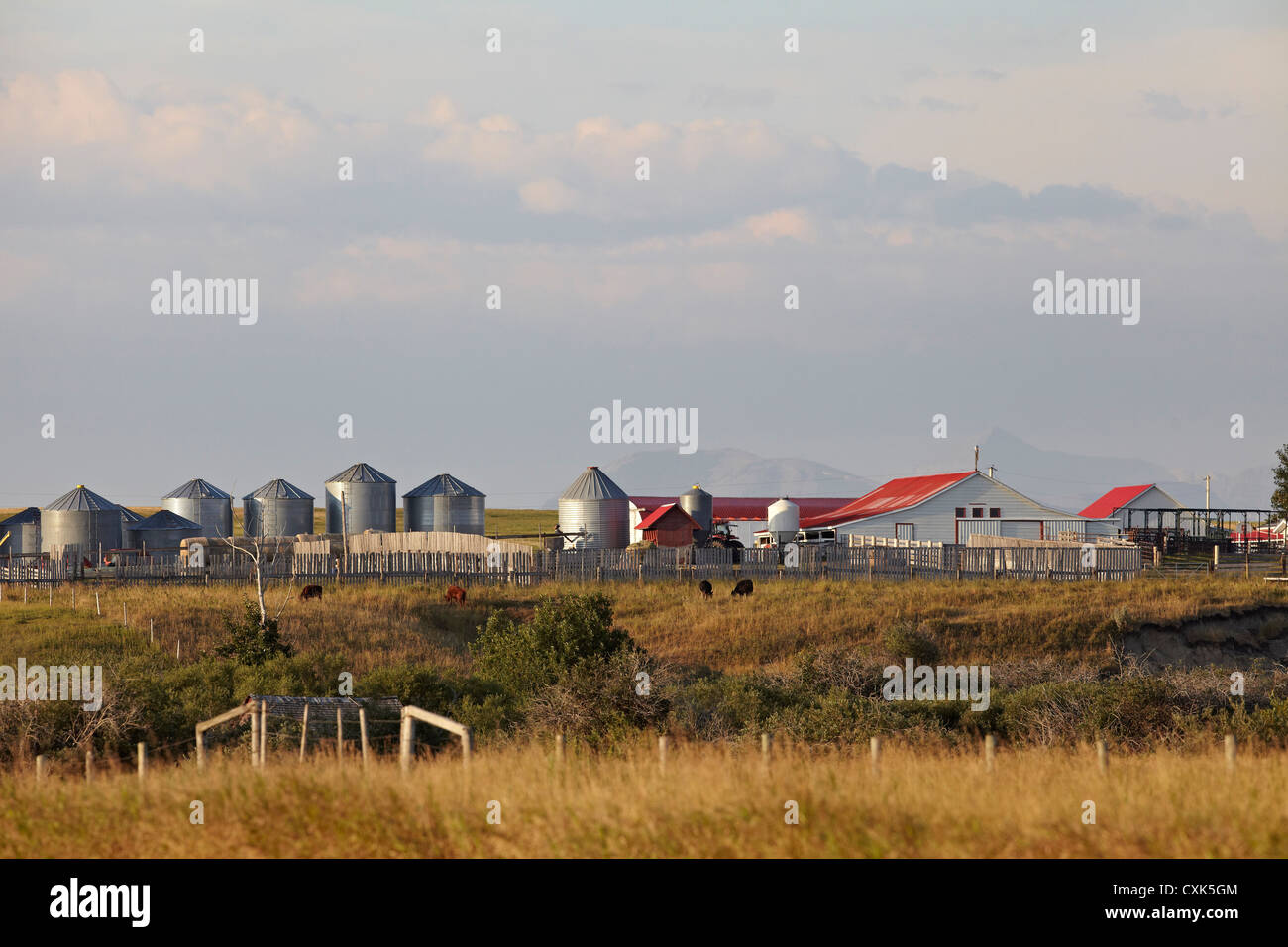 Los edificios de la granja, las montañas en la distancia, la utopía, la granja de estrangulador Creek, Alberta, Canadá Foto de stock