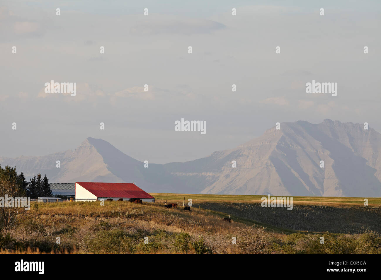 Granja, montañas en la distancia, la utopía, la granja de estrangulador Creek, Alberta, Canadá Foto de stock