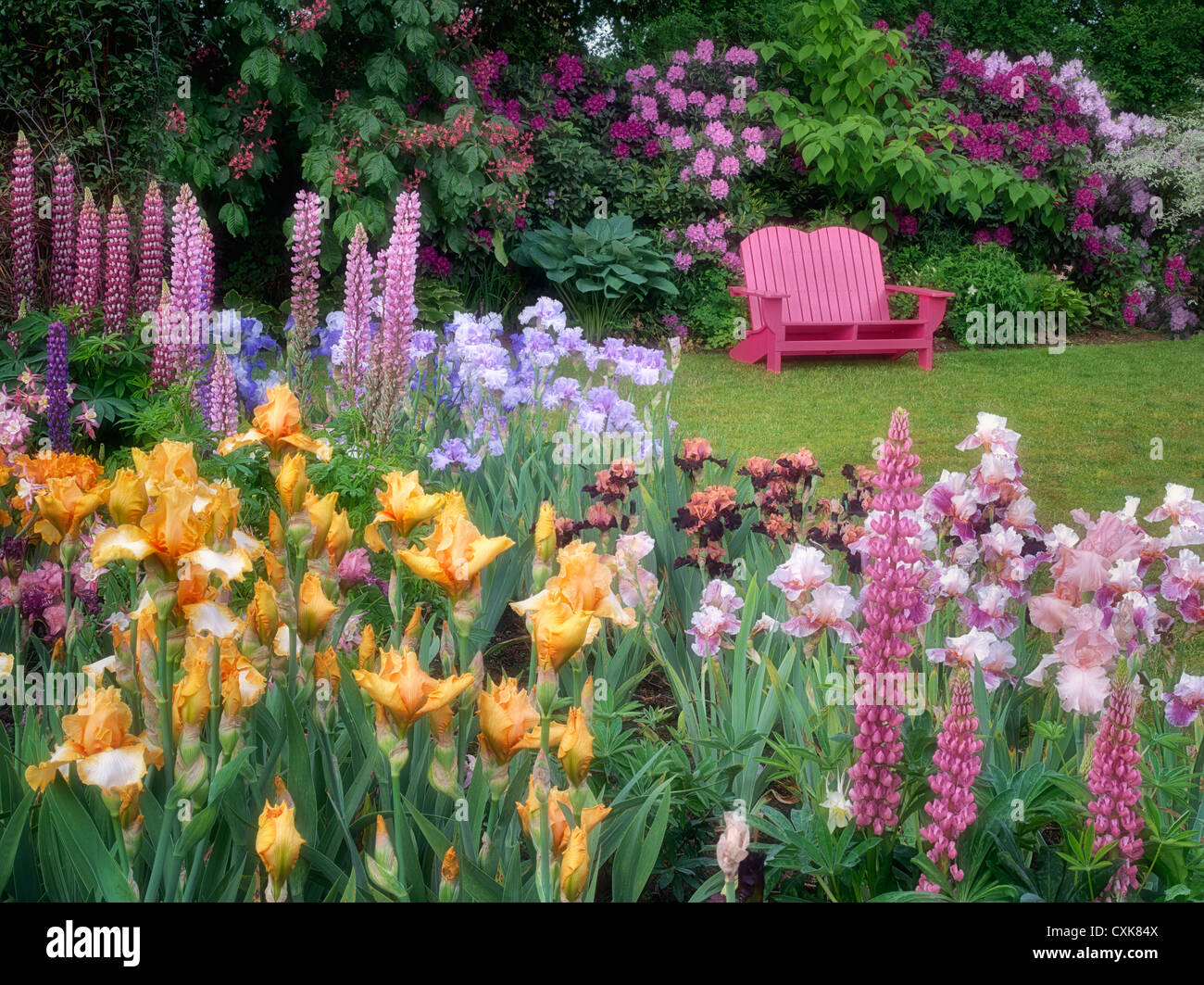 Silla de jardín y jardín de flores. Iris Schrieners Jardines, Salem, Oregon. Foto de stock