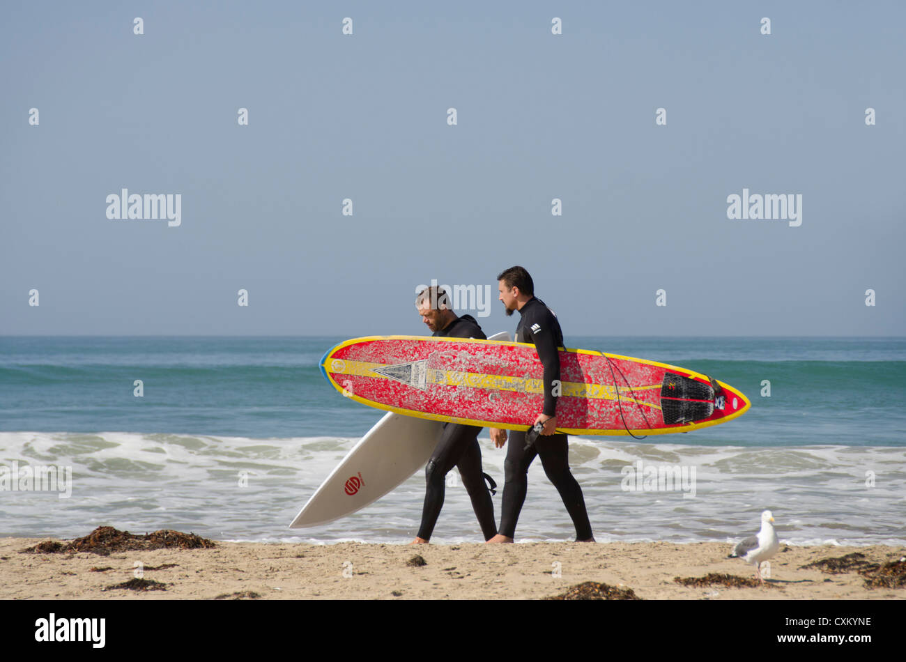 California, en la costa del Pacífico, Pismo Beach. Surfista en la Playa Estatal de Pismo. Foto de stock