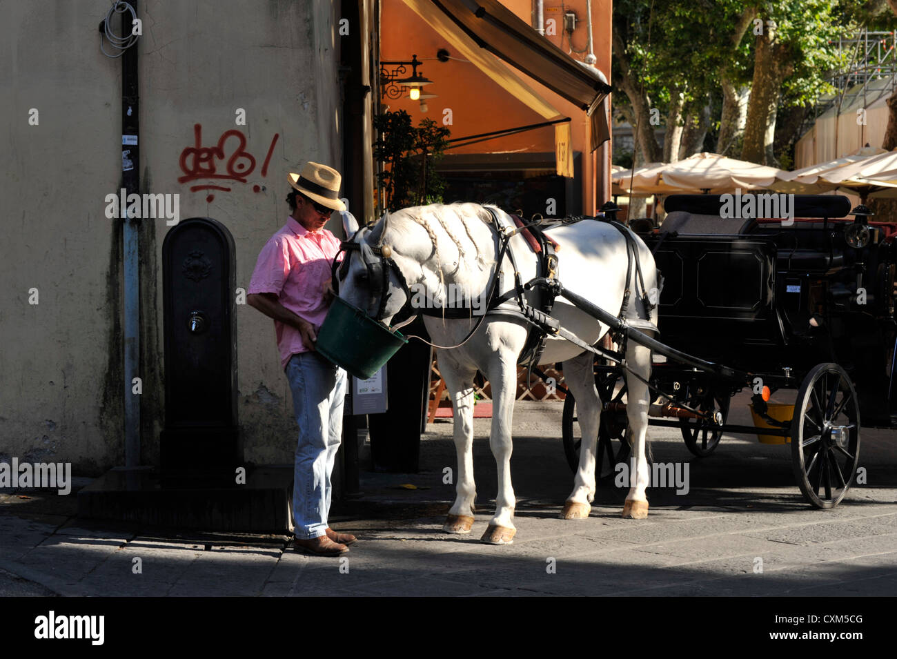 Alimentación hombre caballo y carro para visitas turísticas en Lucca Toscana Italia Foto de stock