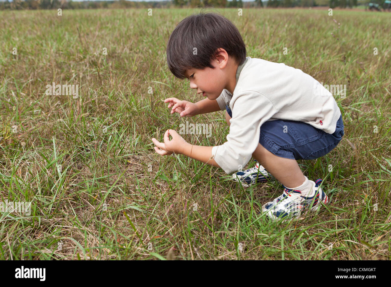 Chico asiático inspeccionando los insectos en un campo de hierba Foto de stock