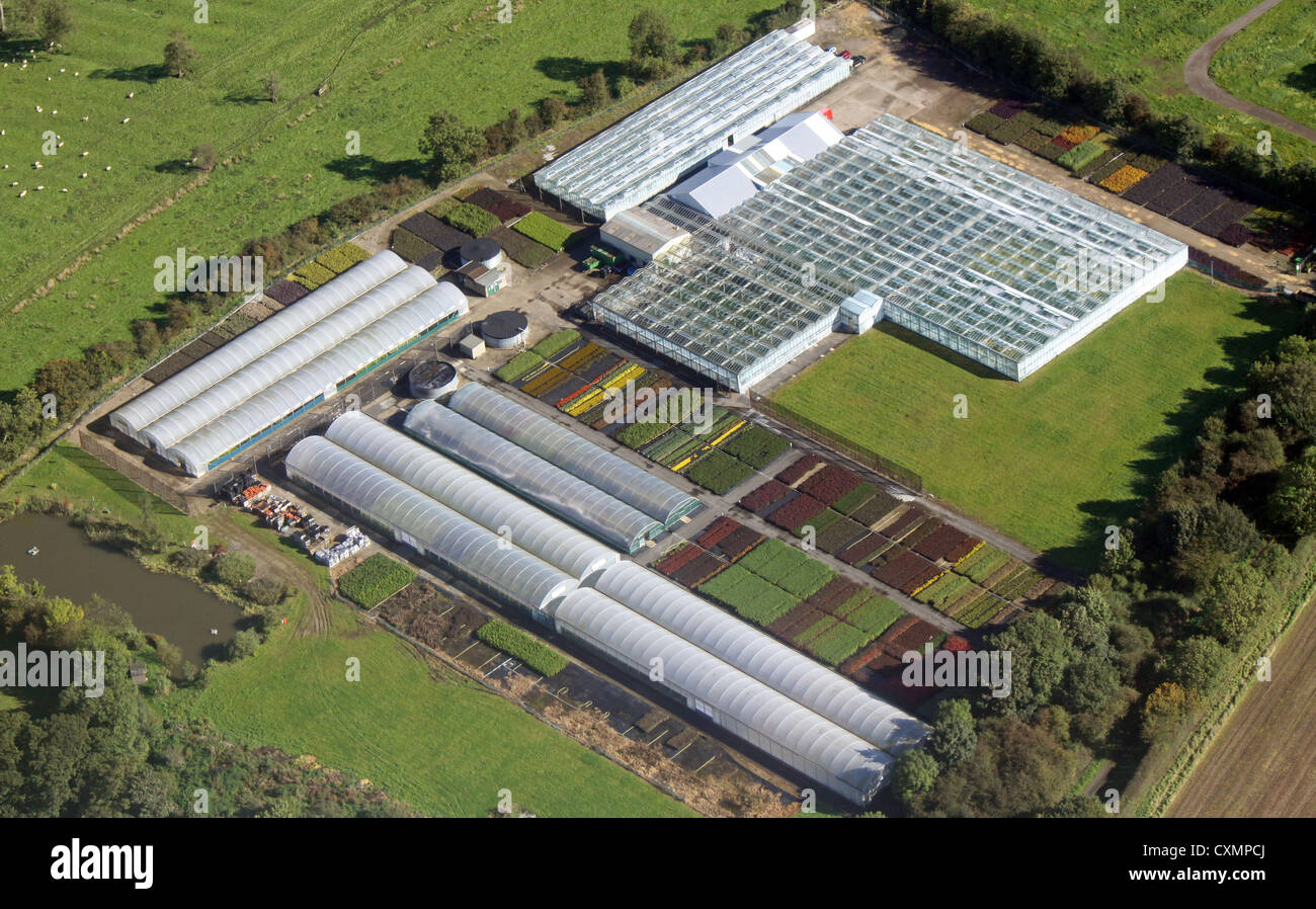 Vista aérea de un mercado del jardinero y polytunnels invernaderos Foto de stock