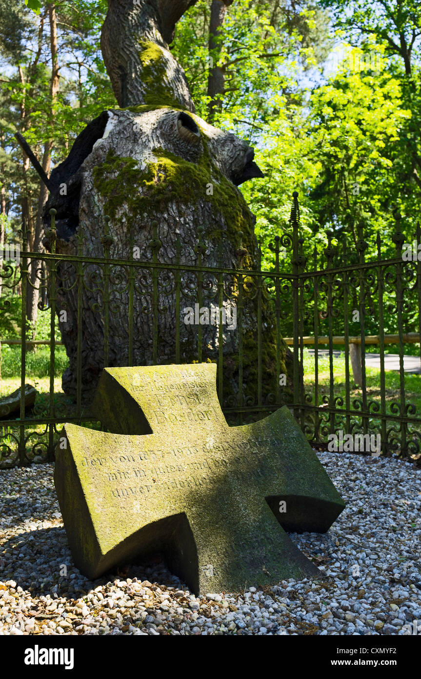 Monumento de piedra en roble, Bosdorf Glashütte, Baruth, Brandenburgo, Alemania Foto de stock