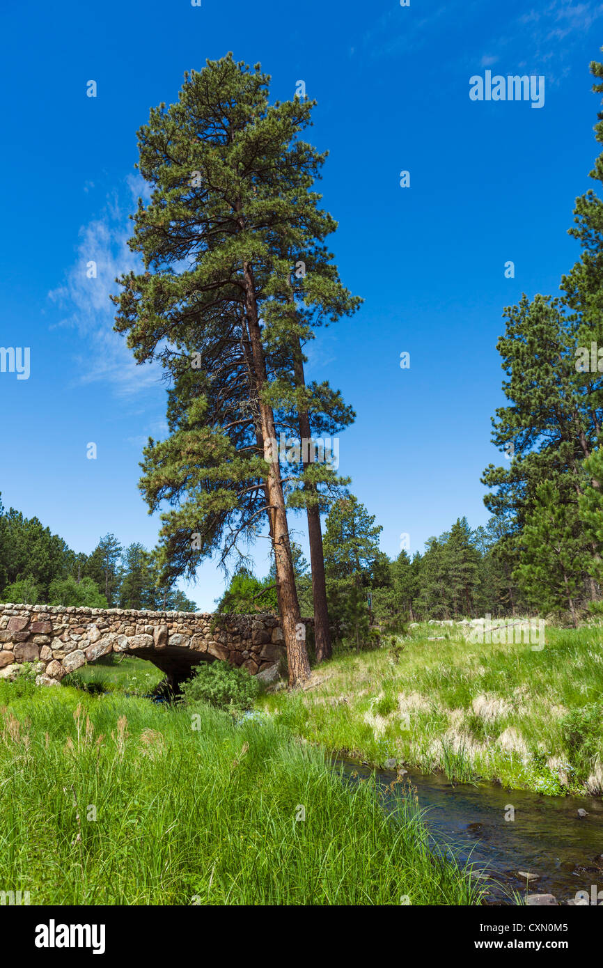Arroyo que fluye bajo un puente de piedra sobre la Ruta 87 en el Parque Estatal Custer, Black Hills, Dakota del Sur, EE.UU. Foto de stock