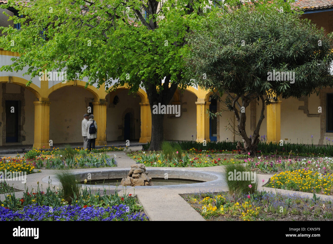 Vista de los famosos jardines de la Espace van Gogh en Arles, Francia, Europa, la Unión Europea Foto de stock