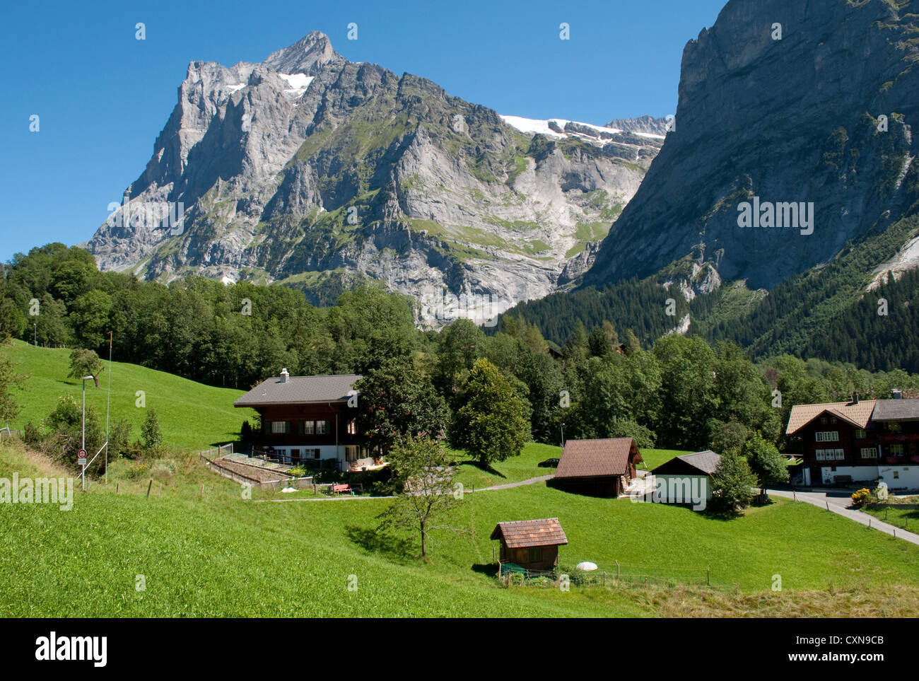 Chalets alpinos y montañas Grindelwald en el Oberland bernés en Suiza Fotografía de stock Alamy