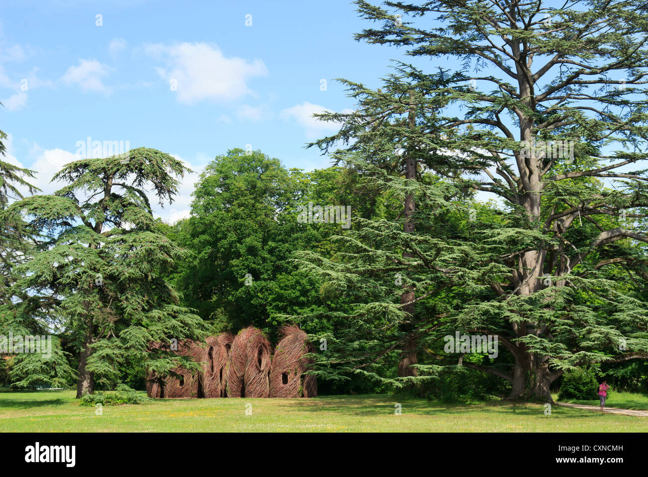 Festival Internacional de jardines de Chaumont-sur-loire 2012, trabajo por Patrick Dougherty en el castillo parc en 2012 Foto de stock