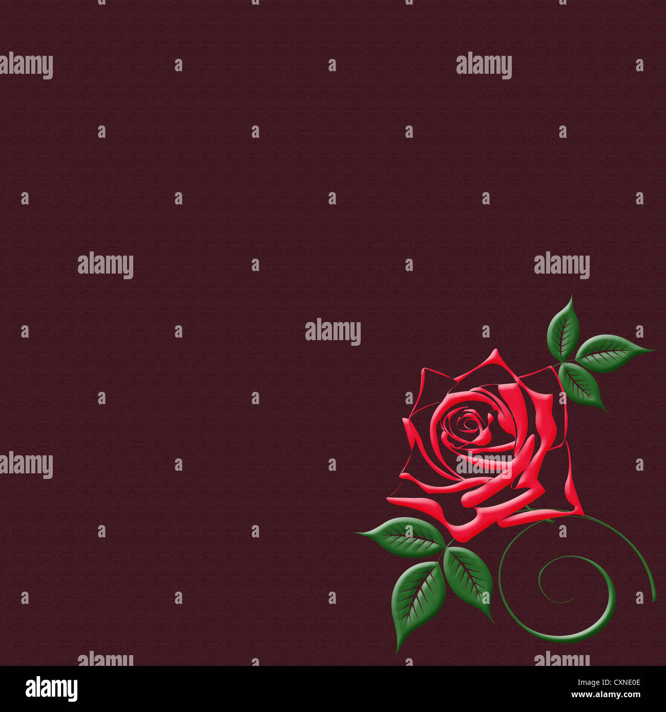 Ilustración de la hermosa rosa fondo rojo burdeos Fotografía de stock