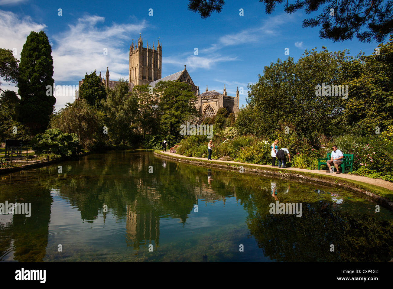 Los jardines y la primavera en el Palacio de los Obispos, la ciudad de los pozos. Somerset. Foto de stock