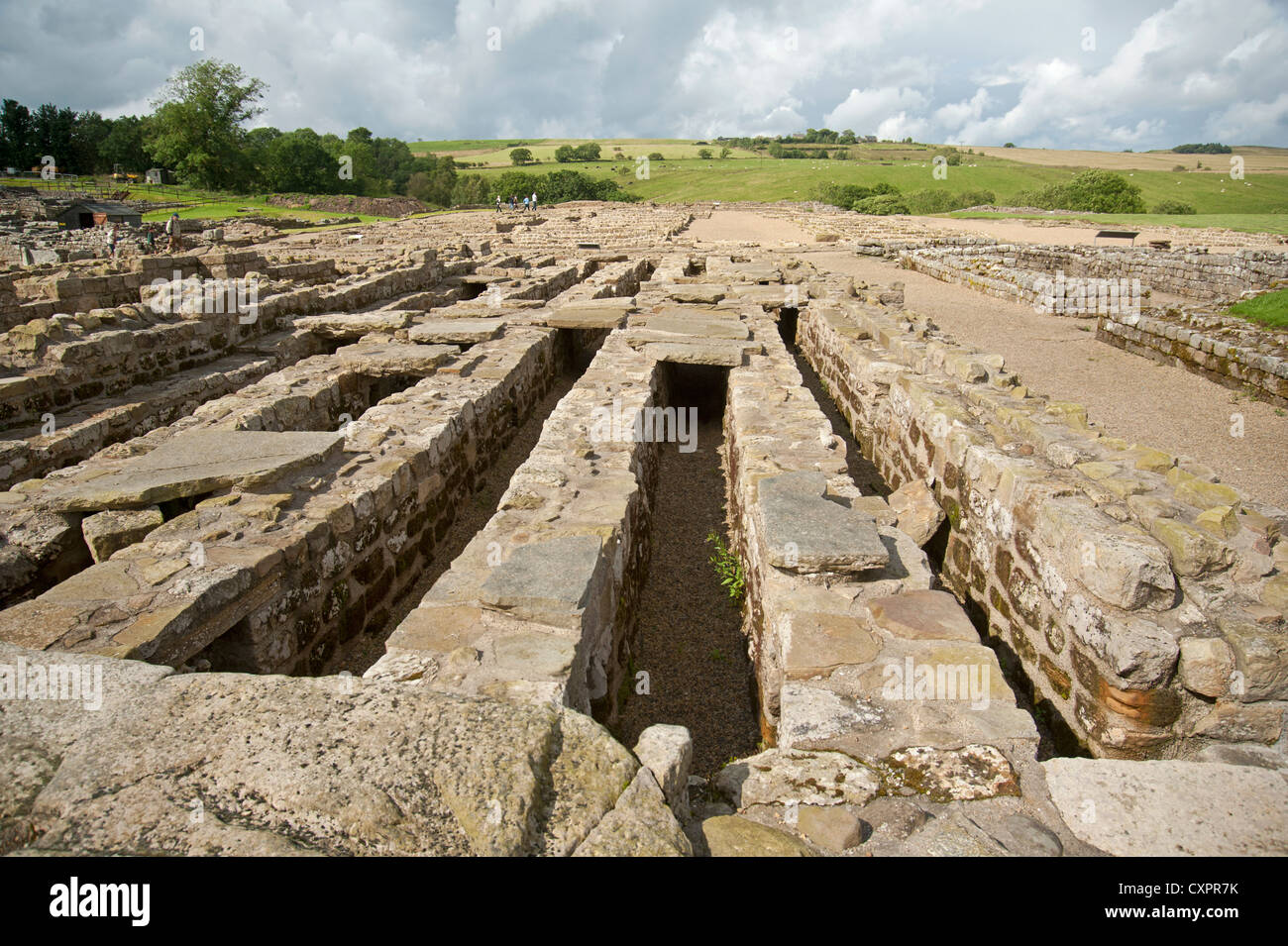 Una sección de la zona de tiendas y granero del sitio militar romano en Vindolanda, Housesteads, Northumberland. Ocs 8635. Foto de stock