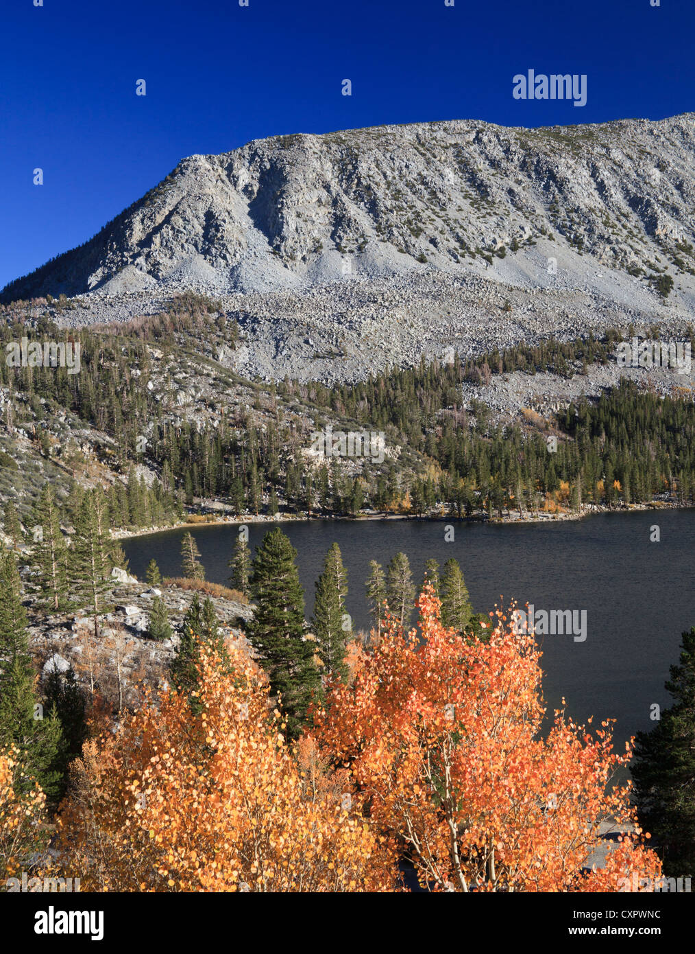 Otoño en Rock Creek Lake, en la parte oriental de Sierra Foto de stock