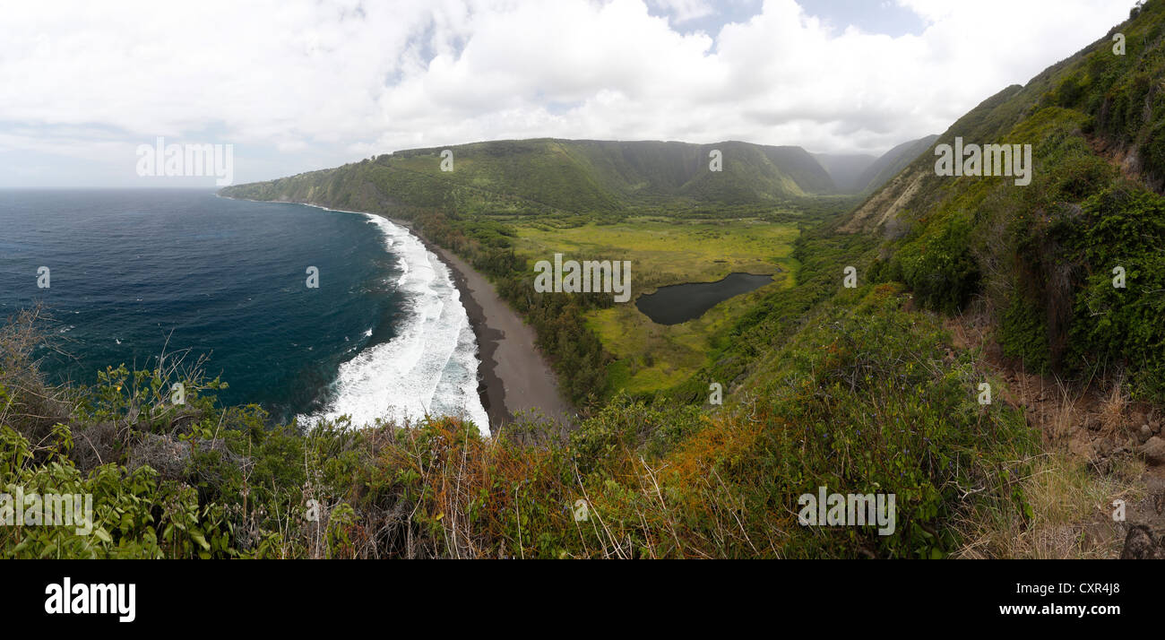 Valle Waipio, erosión landform del volcán Kohala, Big Island, Hawaii, EE.UU. Foto de stock