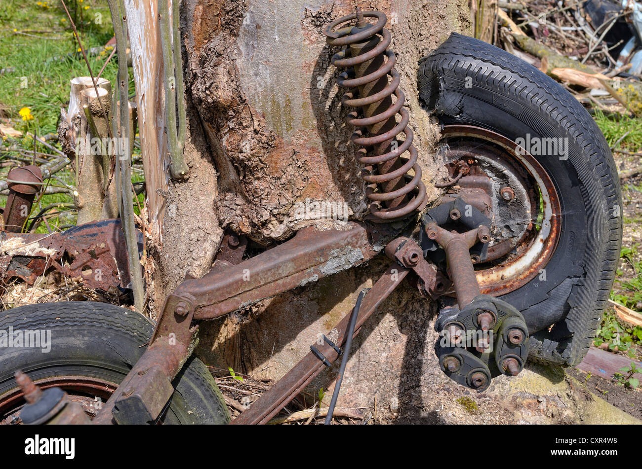 La naturaleza y la tecnología, eje y ruedas de coche, parcialmente cubierto por un tronco de árbol de sauce, Miesbach, Alta Baviera, Baviera Foto de stock