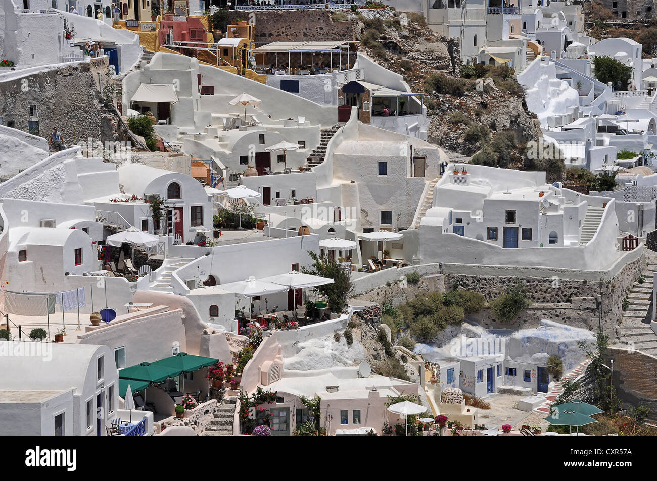 Casas, Fira, Santorini, Grecia, Europa Foto de stock