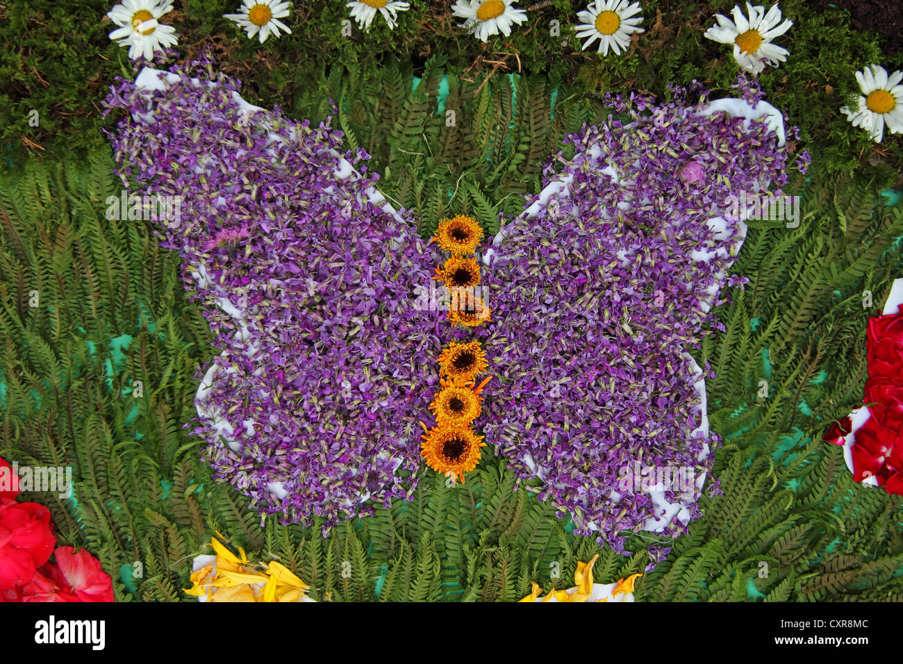 Mariposa hecha de pétalos de flores, alfombra de flores del Corpus Christi, de Ochsenhausen, Suabia superior, Baden-Wuerttemberg Foto de stock