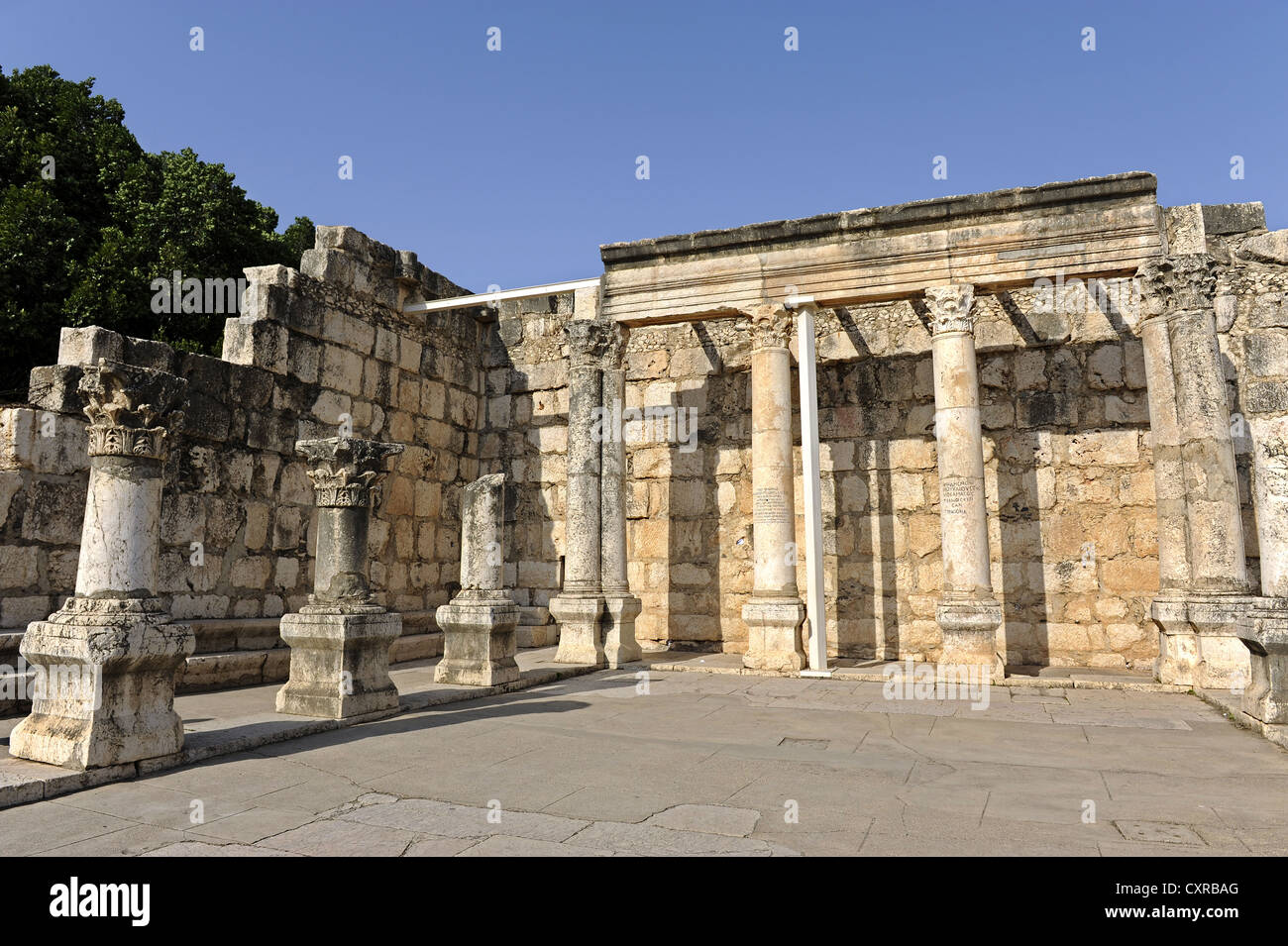 La antigua sinagoga de Kafarnaum, Cafarnaum, Kapharnaum, Cafarnaún, o