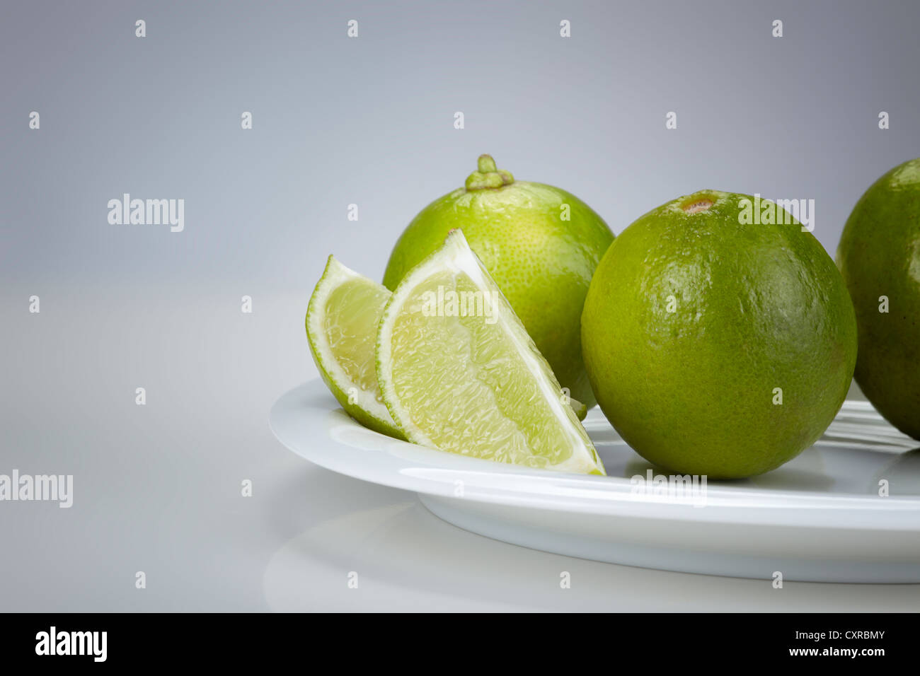 Limón (Citrus latifolia) sobre una placa blanca. Foto de stock