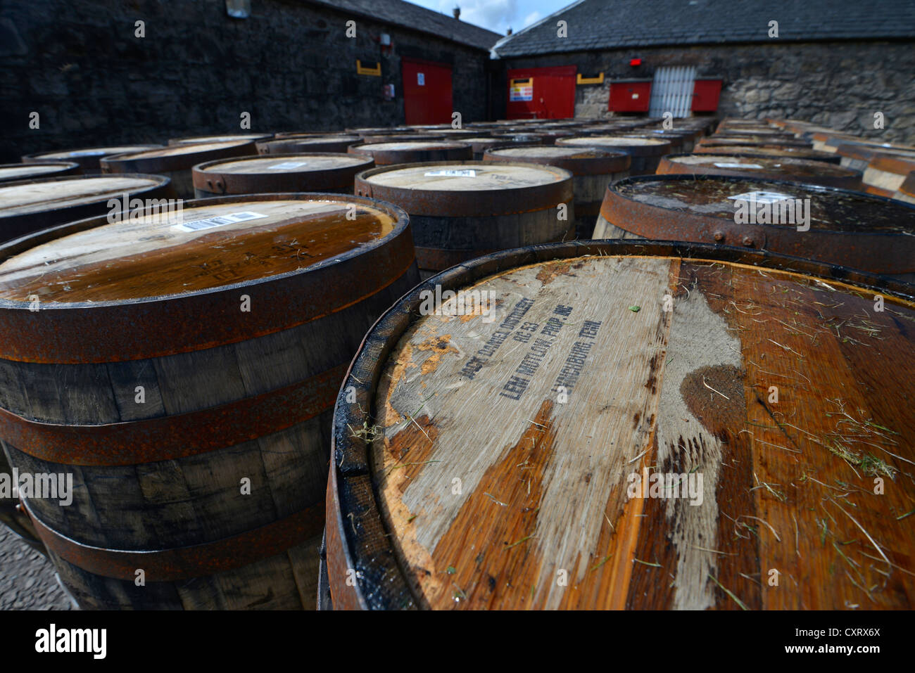 Barriles de Whiskey de América que había sido utilizado como whiskey Boubon barriles, ahora a la espera de ser reutilizados para el whisky escocés Single Malt Foto de stock