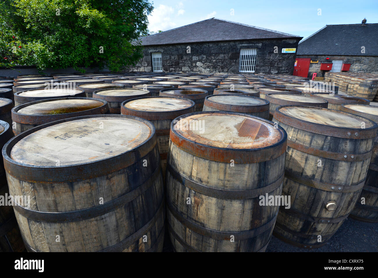 Barriles de Whiskey de América que había sido utilizado como whiskey Boubon barriles, ahora a la espera de ser reutilizados para el whisky escocés Single Malt Foto de stock