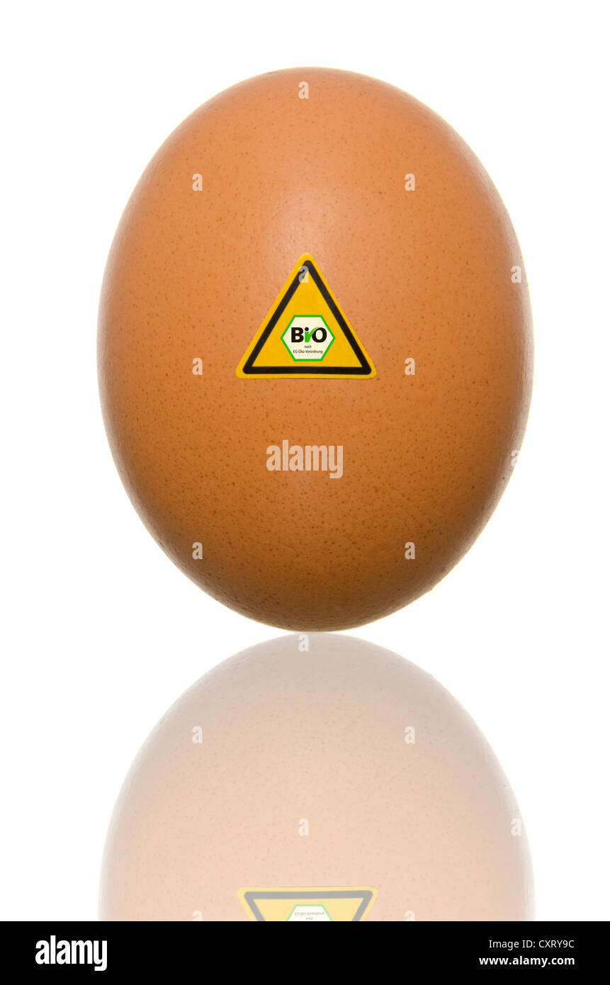 Solo huevo con la señal de advertencia "Bio", imagen simbólica, Precaución: huevos orgánicos Foto de stock