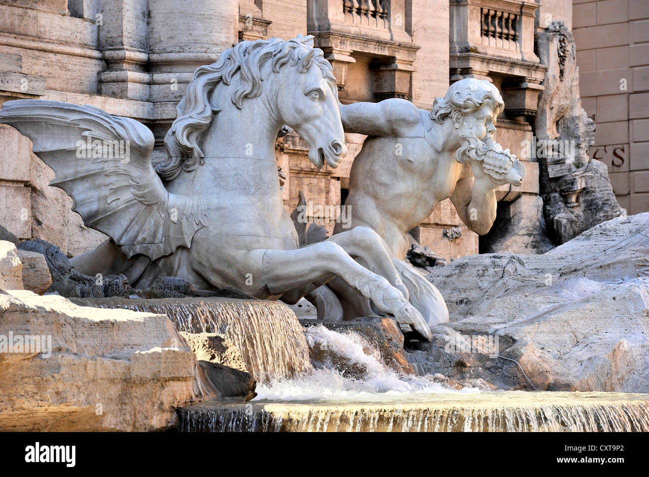 Triton con un caballo alado en la Fontana di Trevi, la Fuente de Trevi, Roma, región de Lazio, Italia, Europa Foto de stock
