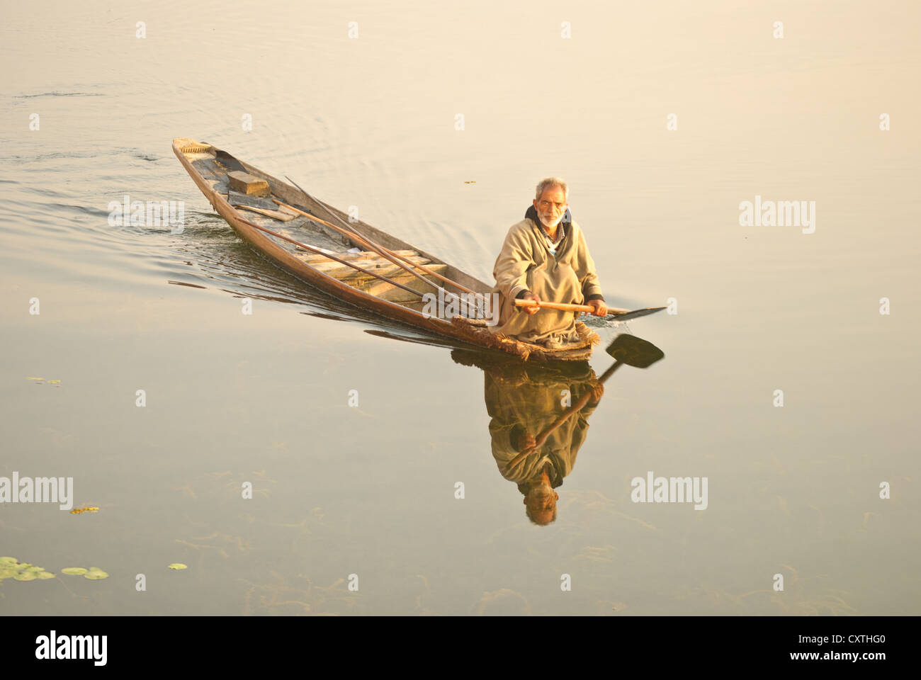 Un hombre local remando su barca en el lago Nagin, Srinagar Foto de stock