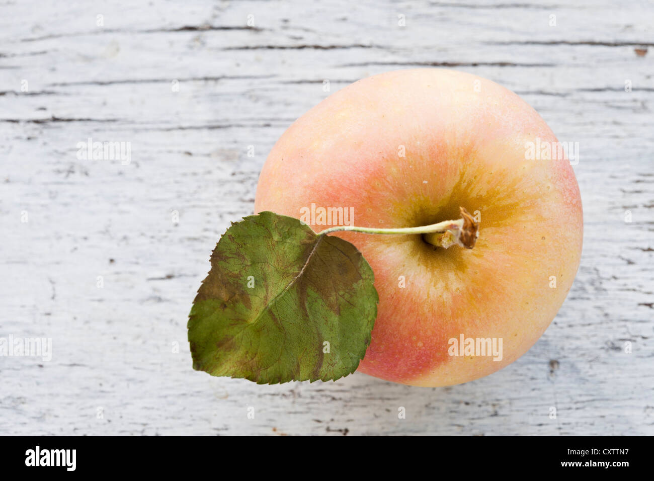 Manzana gala con hojas frescas de dos colores en el cuadro de país Foto de stock