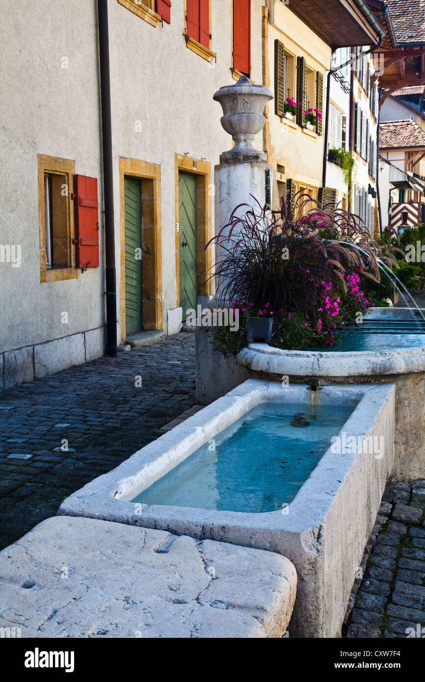 Fuente y antigua estación de lavado comunales en la ciudad medieval de Murten, Suiza Foto de stock
