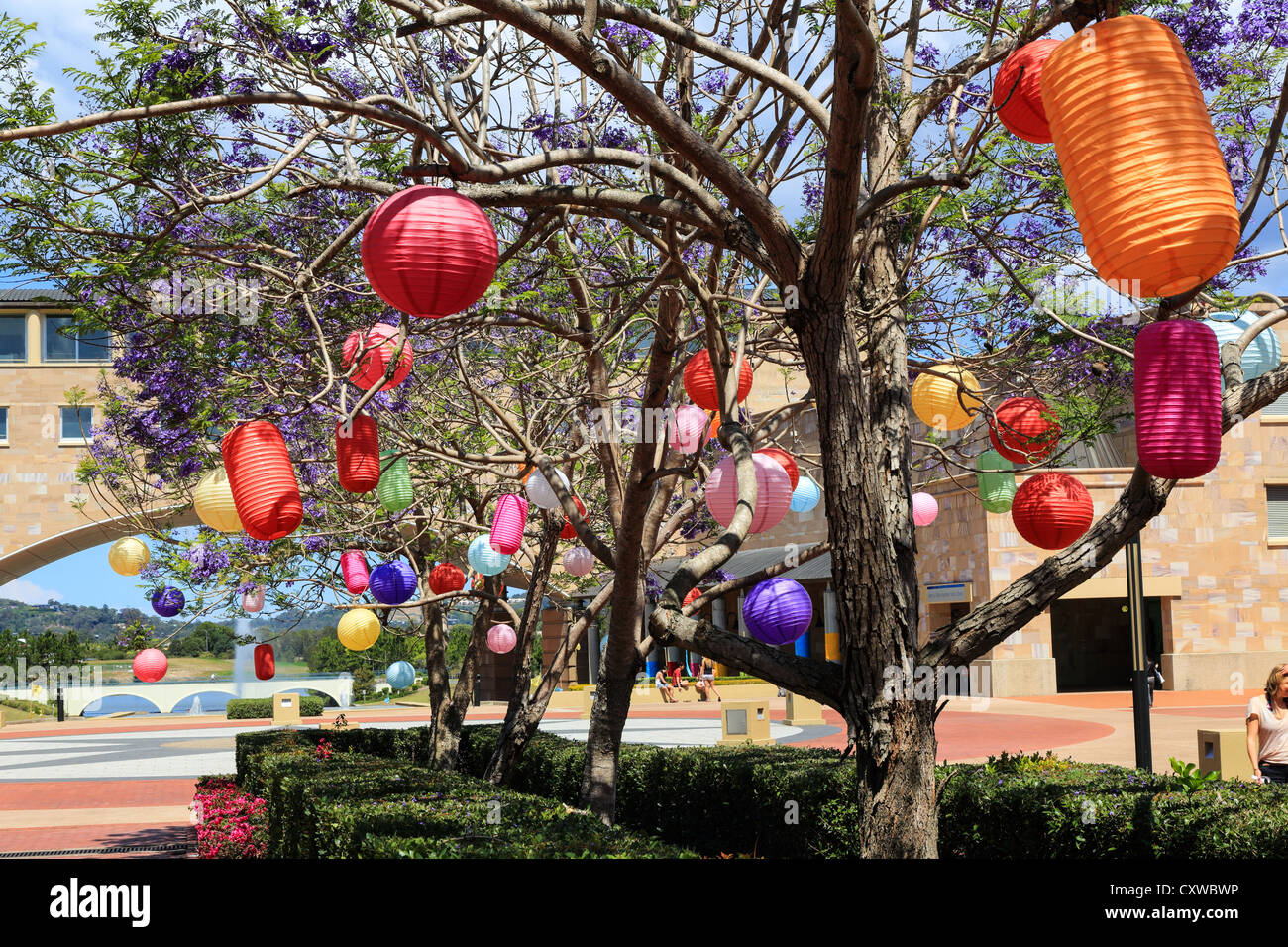 Los globos de papel en árboles de lavanda en la entrada al evento del domingo Foto de stock