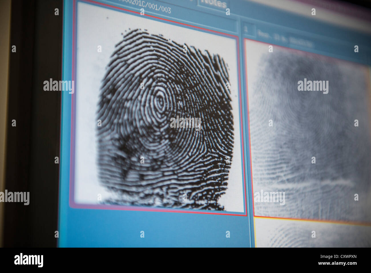 Las huellas dactilares en la pantalla del laboratorio forense Foto de stock