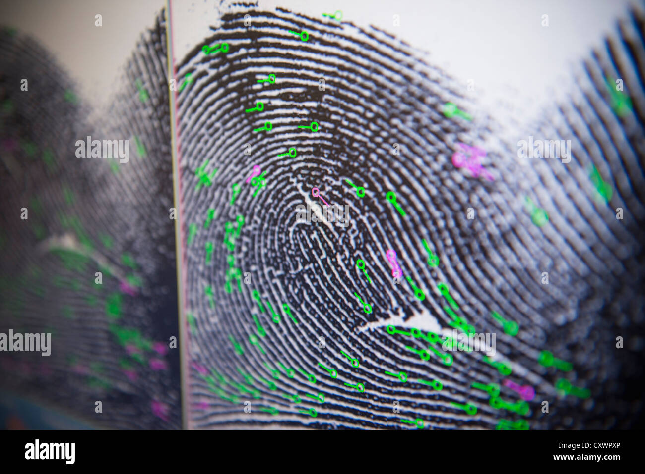 En la pantalla de huellas dactilares en el laboratorio forense Foto de stock