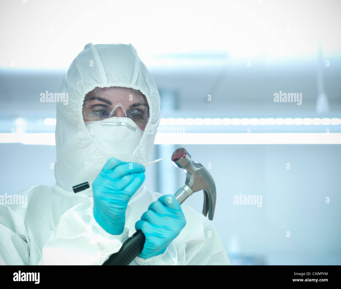 Estudiante forense examinar bloody hammer Foto de stock