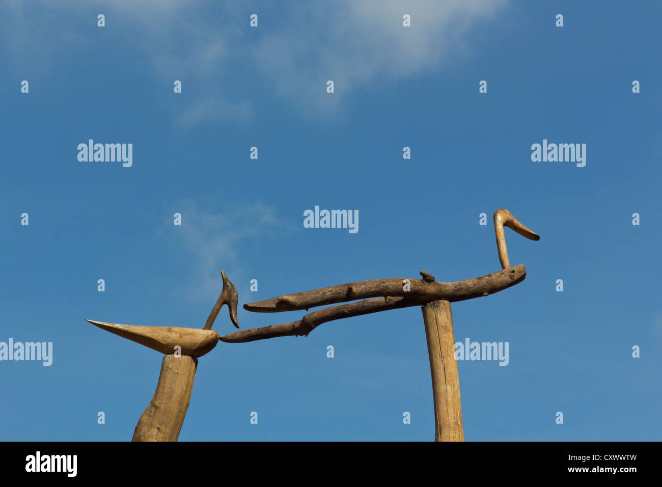 Pájaros de madera fotografías e imágenes de alta resolución - Alamy
