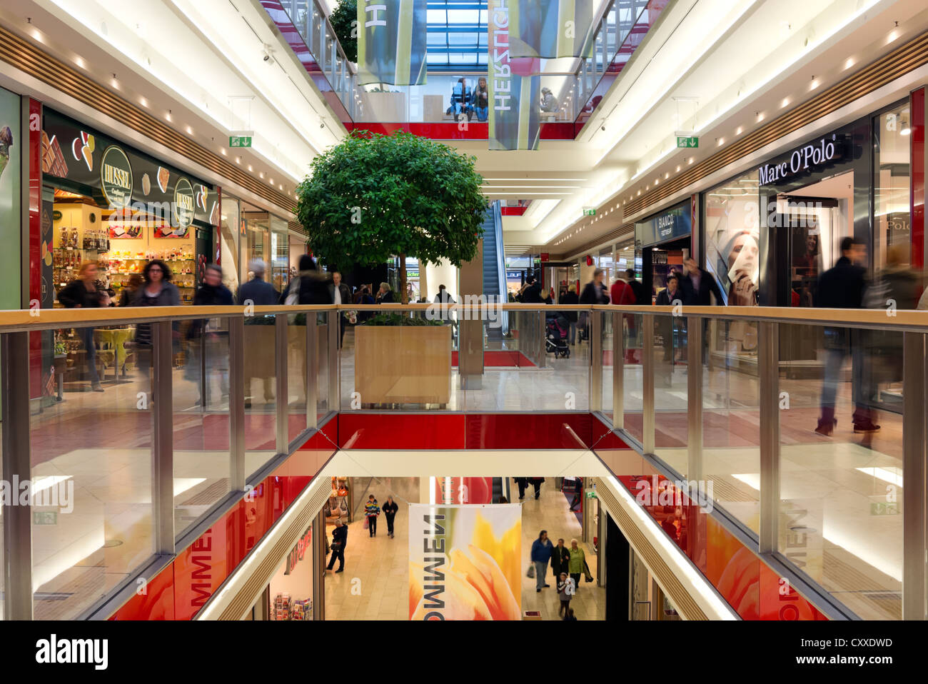 Trier galerie shopping center, Trier, Renania-Palatinado Fotografía de  stock - Alamy