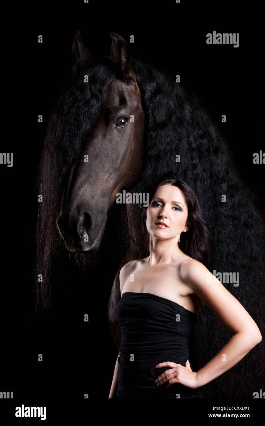 O el frisón frisón raza de caballo con la joven mujer, macho castrado, caballo negro Foto de stock
