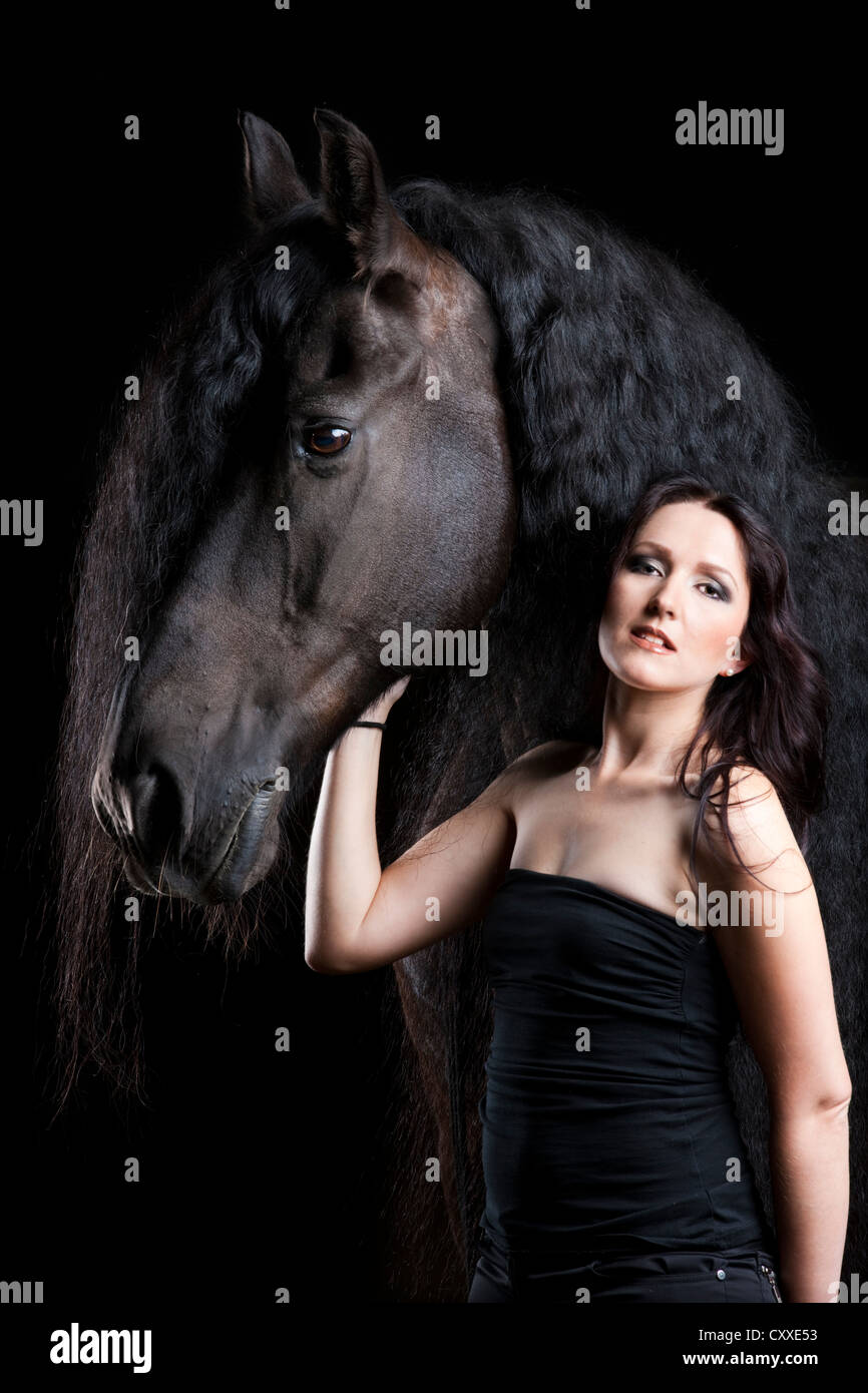 O el frisón frisón raza de caballo con la joven mujer, macho castrado, caballo negro Foto de stock